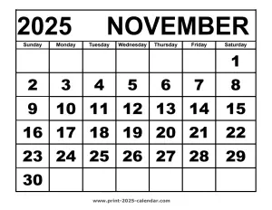 November 2025 calendar